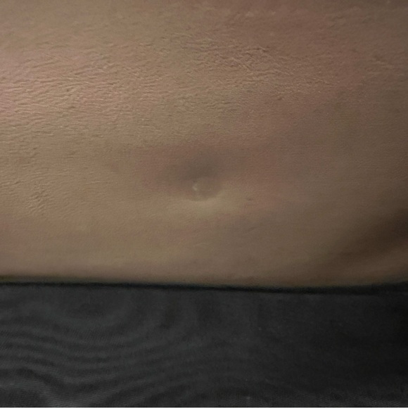 pre-loved Gucci Python Canvas GG Wallet - Picture 13 of 15